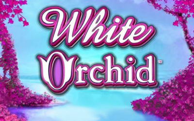 White Orchid – Jouer Gratuitement à la Machine à Sous